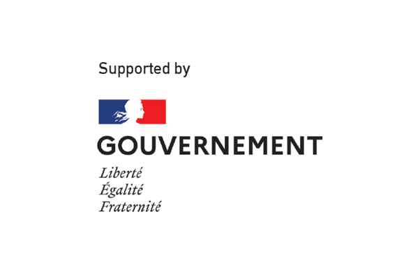 Logo of the French Government