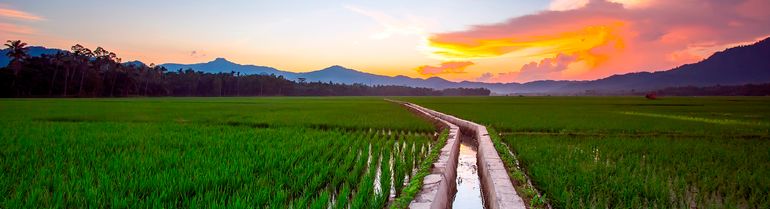 photo of an irrigated field at sunset