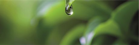 Logo of the congress ICID 26