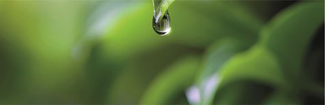 Logo du congrès ICID 26