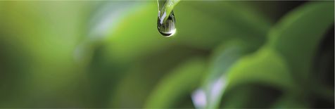 Logo du congrès ICID 26